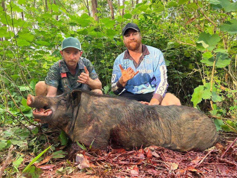 Cape York Hunting: Exploring the Wild Nature and Distinctive Features of hunting in this area, Demographics, Legislation System, Associations and Clubs, Laws and Hunting Seasons 