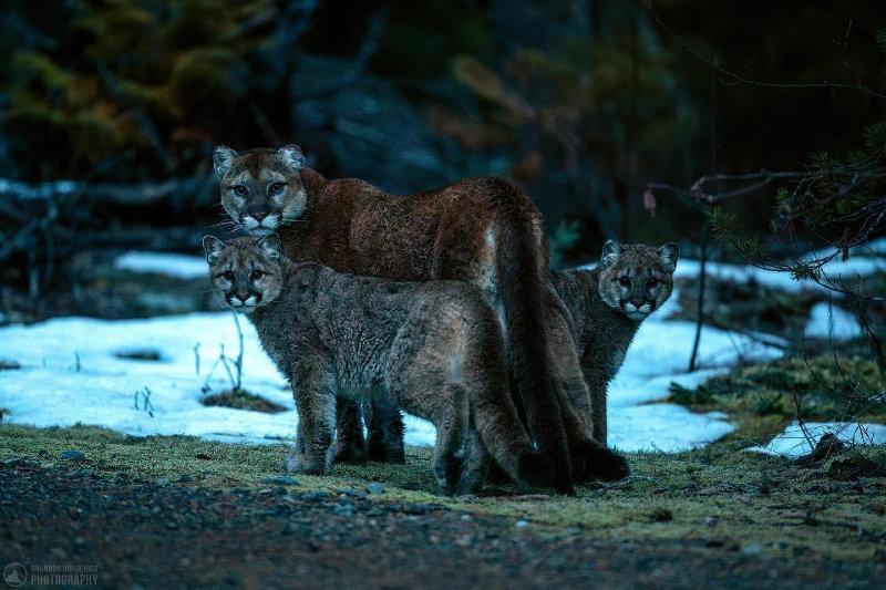Photo from news post