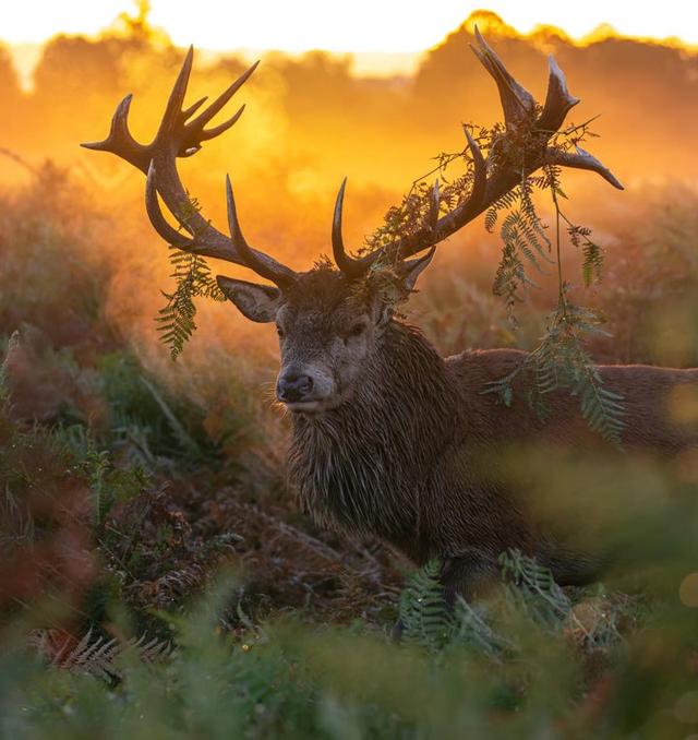 Photo from news post