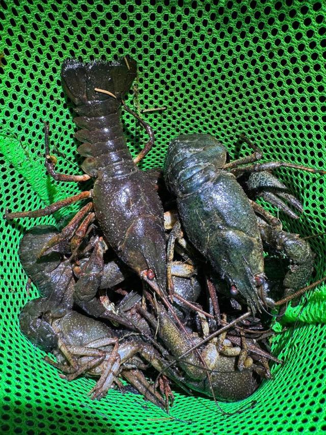 Photo from news post