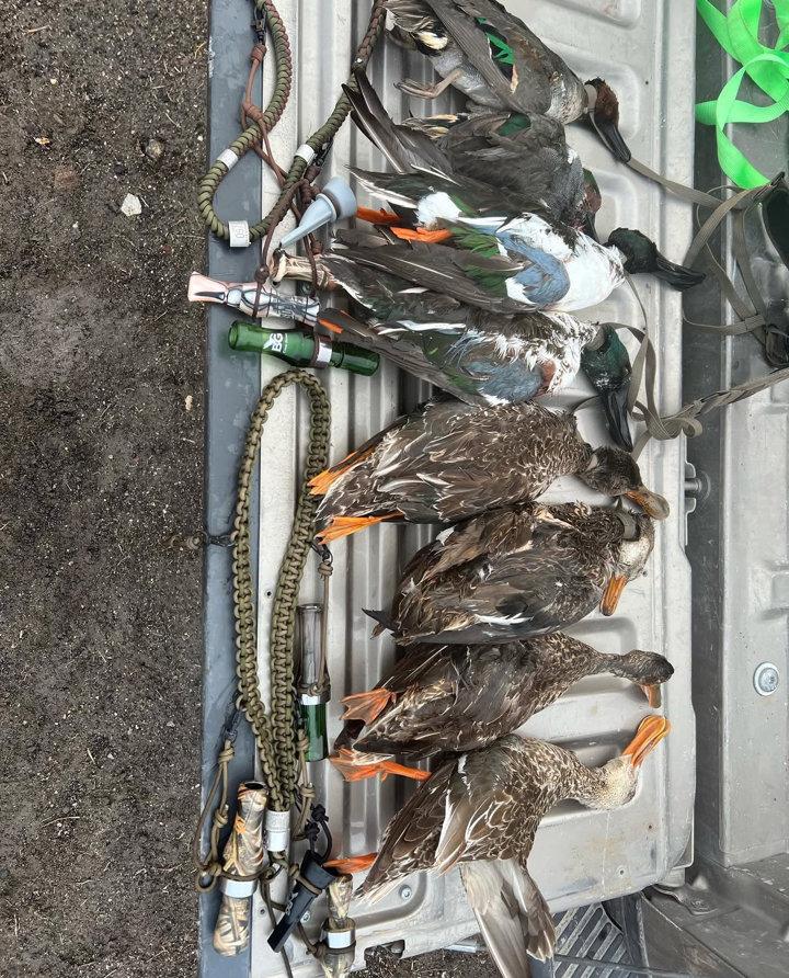 🦆 Duck Call Trials in the Marsh 🦆