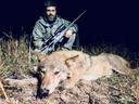 Wolf Hunting in Belarus: A Hunter's Guide

Belarus. The land of forests and marshes holds a predator many hunters respect and, frankly, need to manage: the wolf. Hunting wolves here isn't just a sport; it's vital for protecting livestock and maintaining a healthy balance in the ecosystem. This guide will give you the straight dope on how we chase these cunning beasts in Belarus.

Why Hunt Wolves in Belarus?

Predator Control: Let's be clear, wolf populations need to be managed. They impact deer, elk, and livestock, and responsible hunting helps keep everything in check.

The Challenge: Outsmarting a wolf is a serious test of your hunting skills. They're intelligent, wary, and adaptable.

The Trophy: A wolf pelt is a tangible reminder of a hard-earned hunt. It's a symbol of respect for the animal and your own abilities.

Wolf Hunting in Belarus: Distinct Characteristics

Wolves in Belarus can be distinguished by these characteristics.

Size: Belarusian wolves are often large, with males weighing around 40-60 kg (88-132 lbs) or more.

Coat: Their fur is commonly a blend of gray, brown, and black, offering camouflage in the Belarusian forests.

Behavior: They are social creatures, living in packs with complex social hierarchies. Packs can range in size from a few individuals to over a dozen.

Adaptability: Wolves in Belarus have adapted to various environments, including forests, swamps, and agricultural landscapes.

Wolf Hunting Methods: No Two Hunts Are the Same

We don't sit around waiting for wolves to stroll by. You need to be versatile:

Ambush Hunting (From a Hide): Find a game trail, a kill site, or a place where they're predictably crossing. Set up a well-camouflaged blind, be patient, and be ready for a quick shot.

Calling: Using predator calls (distressed prey sounds) can draw wolves in, especially during mating season.

Spot and Stalk: Glass large areas, find a wolf, and then put your boots on the ground. This requires serious stamina and woodsmanship.

Hunting from Vehicles: In some areas, you can use snowmobiles or ATVs to cover ground and locate wolves. Be sure you know the local regulations.

Driven Hunts (with Beaters): This is a classic European method. Hunters position themselves on stands while beaters (sometimes with dogs) drive the wolves towards them. Organization and communication are key.

Hunting with Hounds: Well-trained hounds can track and bay up wolves, giving you a chance to get into shooting position.

Flagging: A line of flags is set up to create a visual barrier. Wolves are hesitant to cross it, allowing hunters to position themselves strategically.

Wolf Hunting Season in Belarus

Regulations vary, but generally, the wolf hunting season in Belarus runs from late autumn/early winter through early spring (typically November/December to March). Check local hunting regulations for the specific dates.

Where to Hunt Wolves in Belarus

Wolves can be found in many regions of Belarus, but some areas are known for higher populations:

Northern Belarus: The Vitebsk region, with its vast forests and marshes, is a prime wolf habitat.

Central Belarus: The Minsk and Mogilev regions also hold good numbers of wolves.

The Pripyat Polesie: This unique area of swamps and forests in southern Belarus is another potential hotspot.

Before You Go:

Licenses and Permits: You'll need a valid hunting license and a permit specifically for wolf hunting.

Local Guides: Hiring a local guide who knows the terrain and wolf behavior is a smart move.

Regulations: Understand the specific rules regarding allowed firearms, ammunition, and hunting methods.

The Trophy: Respect and Responsibility

Taking a wolf is a significant achievement. Treat the animal with respect:

Pelt: The pelt can be tanned and used for display or clothing.

Skull: The skull is often kept as a memento of the hunt.

Respect: Remember that you have taken the life of a magnificent predator.

Final Thoughts

Wolf hunting in Belarus is a challenging and rewarding experience. It demands skill, patience, and a deep understanding of the animal. Be prepared to work hard, respect the regulations, and honor the wolf.

#wolf #belarus