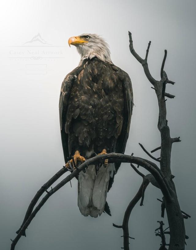 Photo from news post