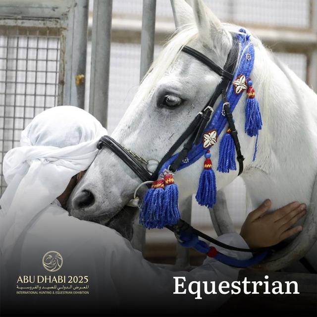Equestrian <strong>ADIHEX</strong> 2025 Abu Dhabi Hunting Expo Sector Information and Photo