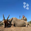 ❗️Travanj, antilope i beskrajno plavo nebo!

☀️ Proljeće je planulo u jarkim bojama! Kakvo nebo, kakve antilope! Wildbeest, springbok, impala, steenbok, oryx! Iland i blesbok već su izašli iz programa, ali su završili u istoj mreži s našim lovcima Aleksejem i Marinom.

🌍 Ima li boljeg načina za upoznavanje afričke faune od safarija s antilopama u Namibiji?

🤎 Stvarno smo uživali, unijeli duh safarija i zavoljeli ovaj kutak planete zbog svega što može pružiti putniku. U Namibiji, osim safarija, postoje mnoga druga zanimljiva mjesta - obala, pustinja, drevni fosili. A kako su domaćini gostoljubivi!
