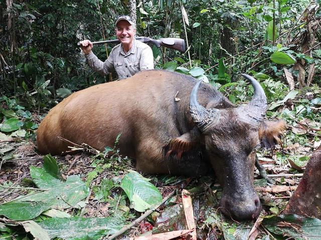 Hunting in Sankuru: Dense Rainforests, Indigenous Knowledge, and Diverse Wildlife Species