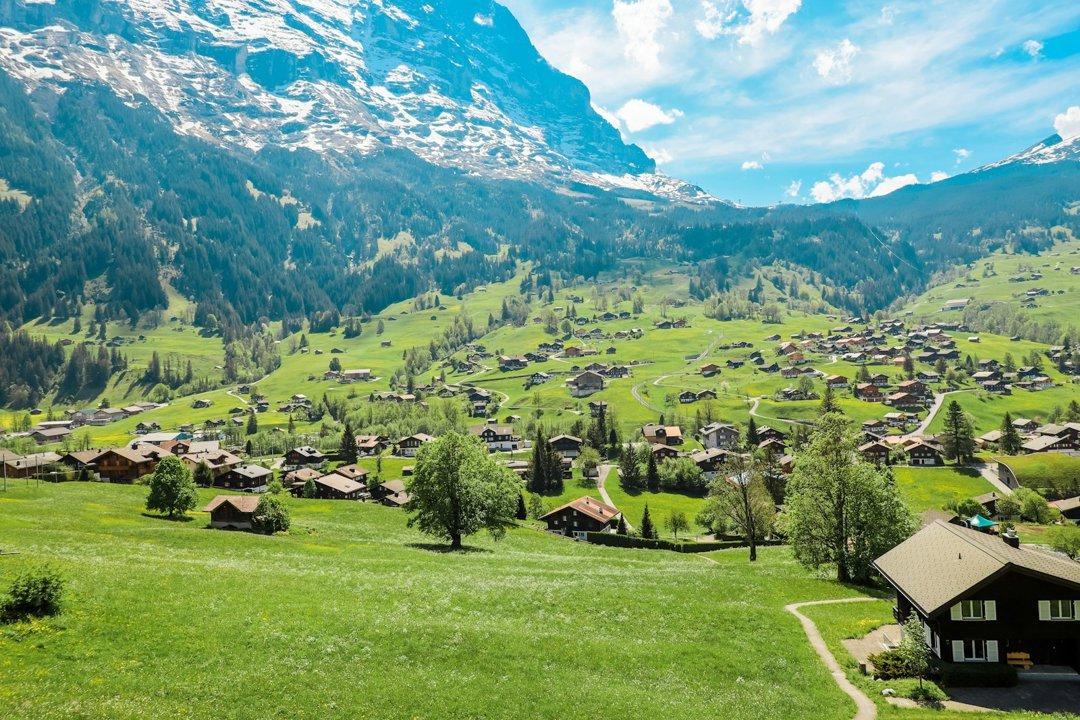 Jagd im Bezirk Seeland (Kanton Bern), Schweiz: Topografie, Bevölkerung, Jagdansätze, Wildtiere, Jagdzeiten, Verbände, Vorgaben und Gepflogenheiten