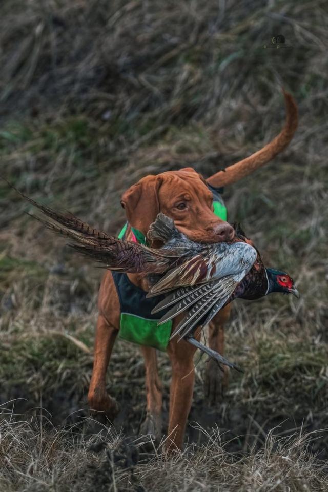 Photo from news post