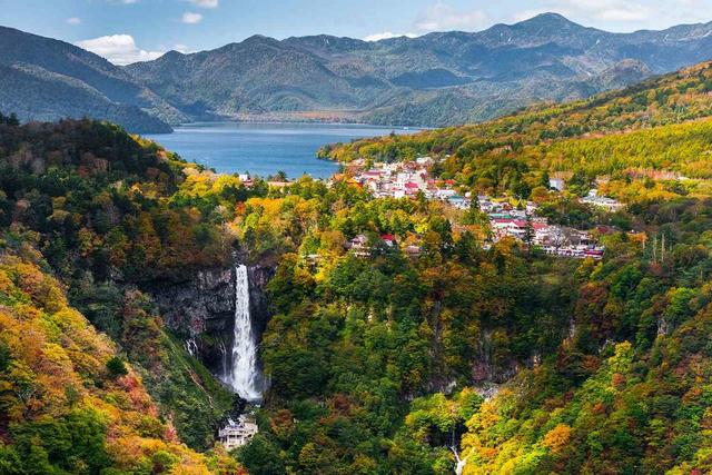 岡山県で楽しむ<strong>狩</strong>猟：イノシシやシカが生息する豊かな自然