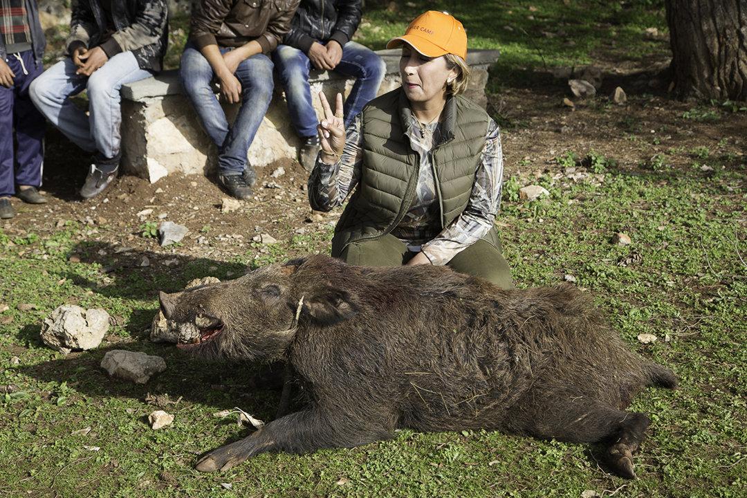 Middle Atlas Boar Hunting: In the footsteps of a Wild Boar in the Heart of Morocco.