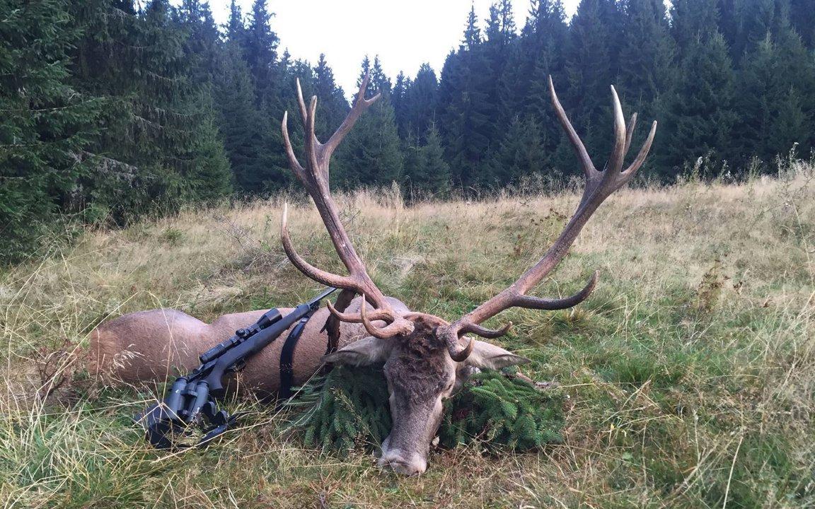 Jagd im Bezirk Veveyse (Kanton Freiburg), Schweiz: Geografische Besonderheiten, Einheimische, Jagdtechniken, Wildvorkommen, Saisonzeiten, Jagdverbände, Jagdgesetze und Traditionen