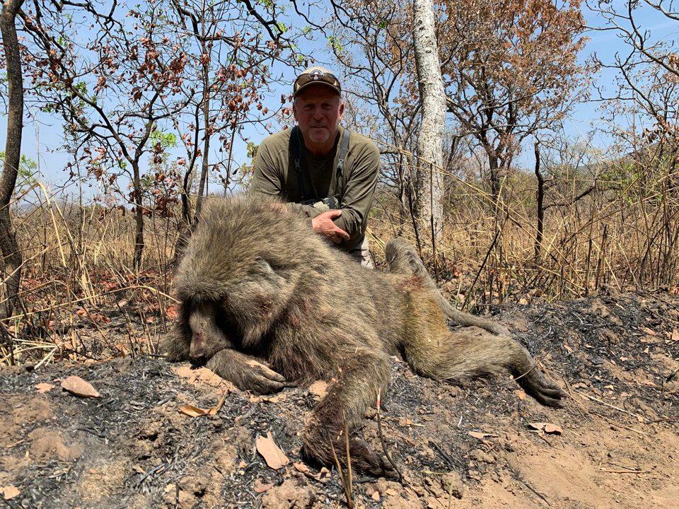 Hunting in North-West Cameroon: Misty Highlands, Montane Wildlife, and the Resilience of Tradition in a Region of Cultural Richness and Ecological Contrast