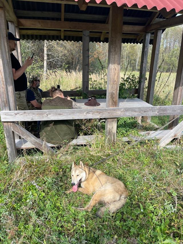Photo from news post