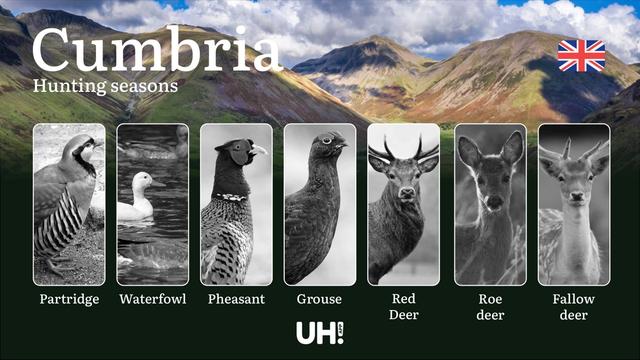 Cumbria’s <strong>Hunting</strong> Calendar, Protected Species, Licenses, Fines, and Expert Tips:  Seasons, Legal Rules, Game Locations, Firearm Permits, and Responsible Wildlife Practices