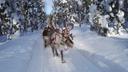 Exploring Fell Lapland Hunting: Geography, Clubs and Communities, Hunters, Legislation, and Unique Traditions

 Nestled in northern Finland, Fell Lapland offers hunters a