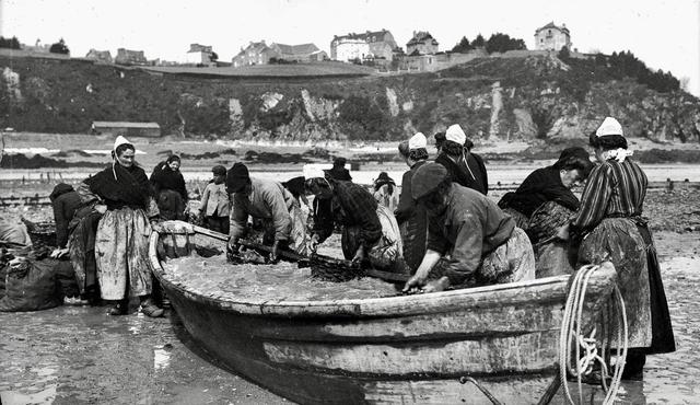 Oyster hunting and sorting in 19th-century France was an essential maritime and culinary practice that reflected both the country’s deep gastronomic traditions and the evolving dynamics of coastal economies.