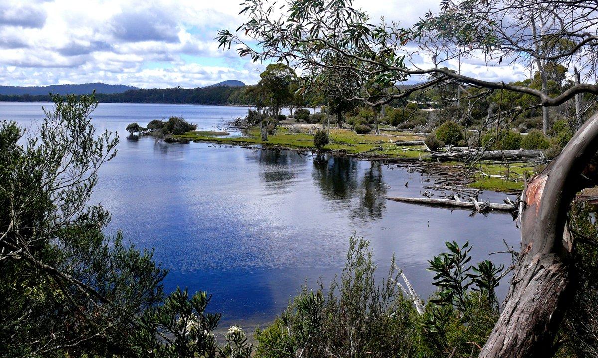 Tasmanian Highlands Hunting: Chasing Trophy Game in Untamed Wilderness.