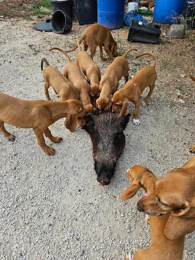 Photo from news post