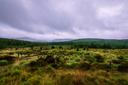 Cork: Unique pheasant hunting opportunities in Ireland. Geography, Demographics, Associations and Clubs, Laws and Seasons 

Cork, located in the south of Ireland, is one 