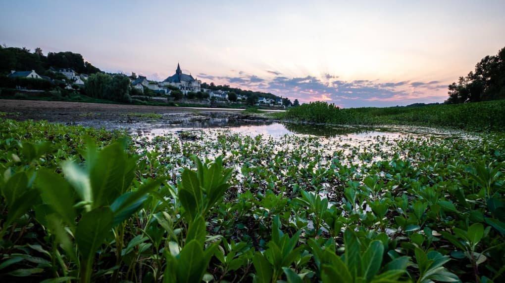 Chasse en INDRE-ET-LOIRE: Découvrez des Paysages Magnifiques, des Saisons de Chasse Parfaites et des Traditions Ancestrales 