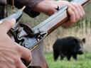 Тюменцам разрешили охотиться на кабанов и медведей

На территории Тюменской области начался сезон охоты на кабанов, медведей и пернатую дичь. Охотиться на медведей тюменц
