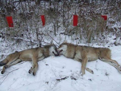 Photo from news post