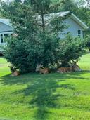 Across the street in Rome, Wisconsin
