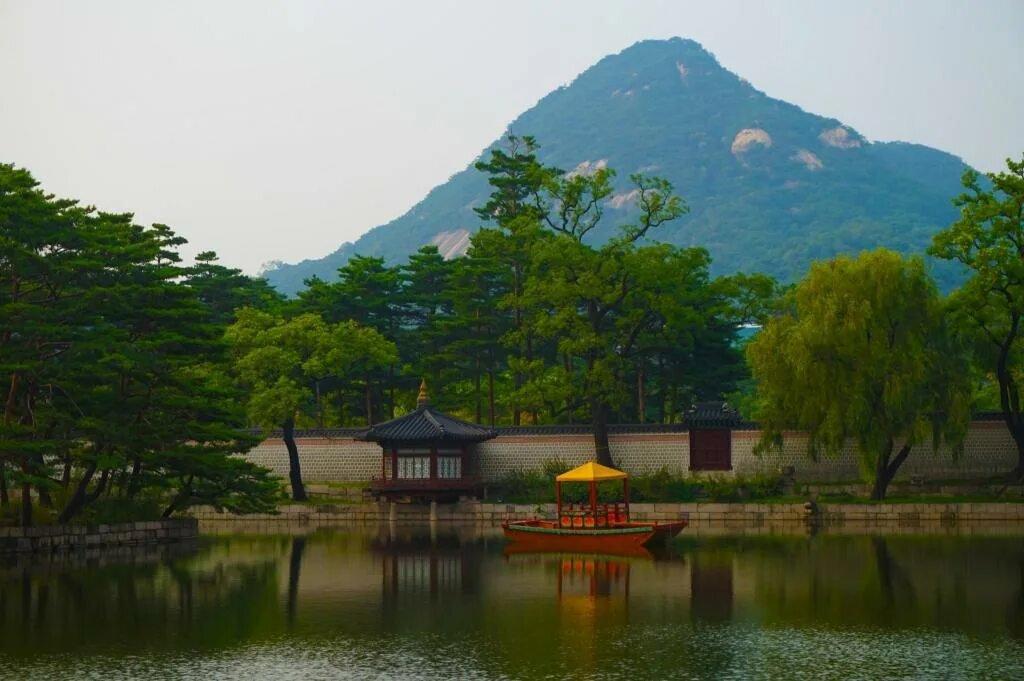서산 사냥터: 한국에서의 사냥 명소 