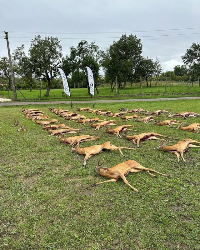 Photo from news post