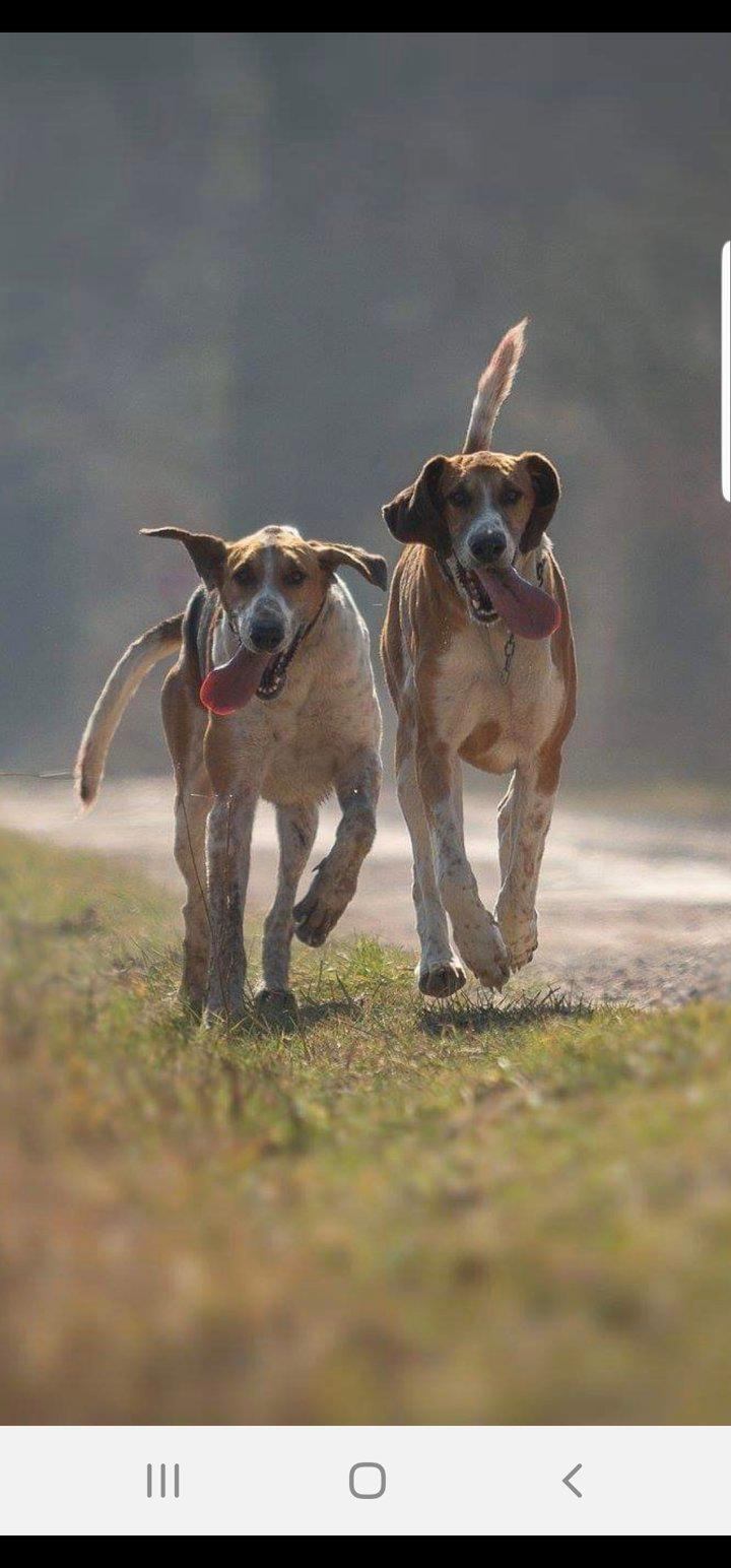 Photo from news post