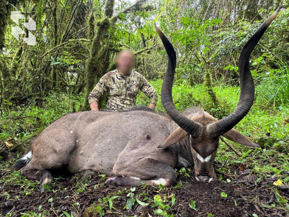 Ethiopia: May trophies