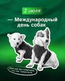 2 июля международный день собак 

Сегодня тот день, когда весь мир вспоминает, кто тут на самом деле главный.
Вы думали, что приручили собак?
Ага, как же. На самом деле они с нами уже десятки тысяч лет просто потому, что мы им удобны. ?
Они научились жить рядом, помогать нам, а главное — идеально вписаться в наш быт. Охотники, сторожа, пастухи... даже швейные машинки крутили. Да-да, раньше собаки работали как живые двигатели предыдущего поколения.
Потом началась война.
И собаки снова на передовой: взрывают мины, спасают раненых, доставляют почту. А вы думали, они только с мячиком умеют играть?
В космосе тоже были первыми.
Белка и Стрелка - звёзды, а до них летало больше 30 собак.
Сейчас собаки вообще боги:
- спасатели
- поводыри
- ищейки
- терапевты (да, они лечат депрессию просто умением лежать рядом)
- и, конечно, чемпионы по жалобному взгляду на
ХОЛОДИЛЬНИК
Сейчас на планете живёт около 525 миллионов собак
И да, есть организация FCl, которая насчитала 356 пород. От тех, кто спасает жизни, до тех, кто спасает ваш вечер от одиночества.