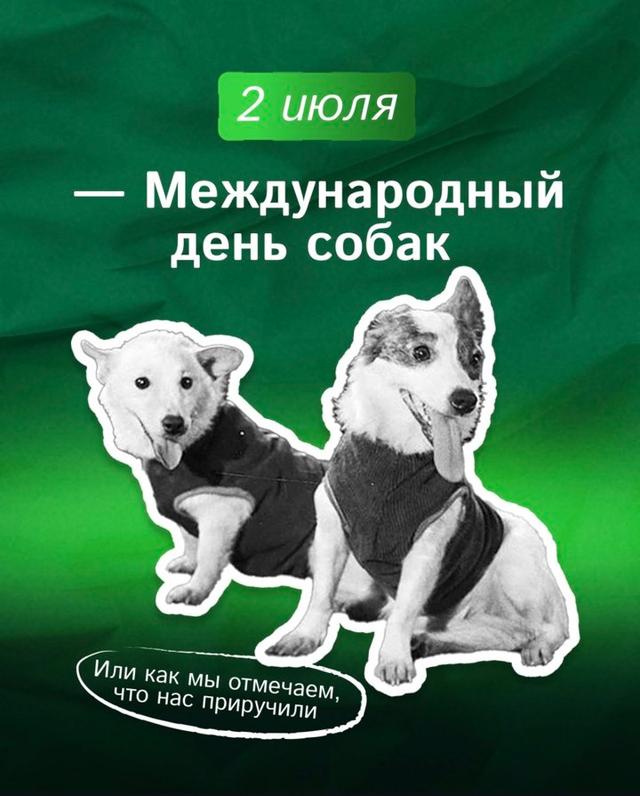2 июля международный день собак 