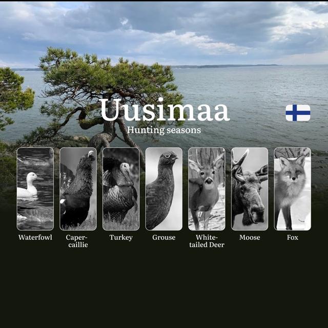 Hunting Seasons in UUSIMAA: Key Dates, Required Licenses, Seasonal Variations,  Prohibitions and Vital Rules