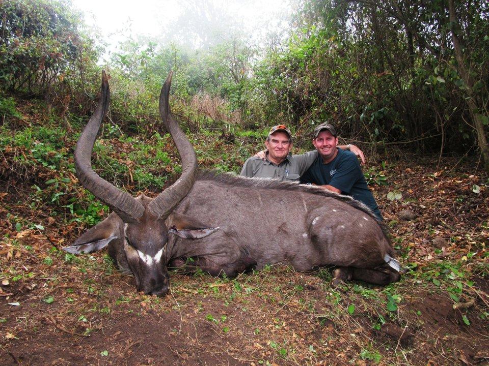 Tigray Hunting: A Comprehensive Guide to Majestic Geography, Diverse Wildlife, and Timeless Traditions