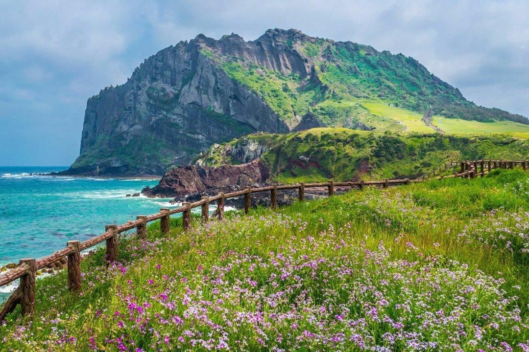 전라남도 멧돼지 사냥 