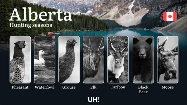 Hunting Seasons in ALBERTA, Canada: Essential Opening & Closing Dates, Must-Have Licenses, and Crucial Regulations