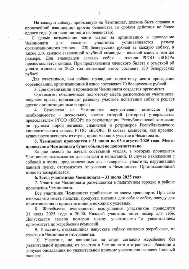Чемпионат «Горка-2025»: главное событие для легавых собак и их владельцев в Беларуси