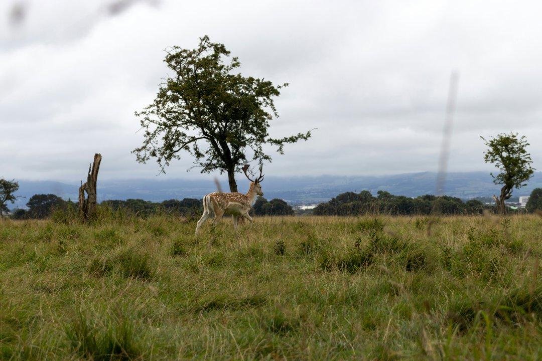 Photo from news post