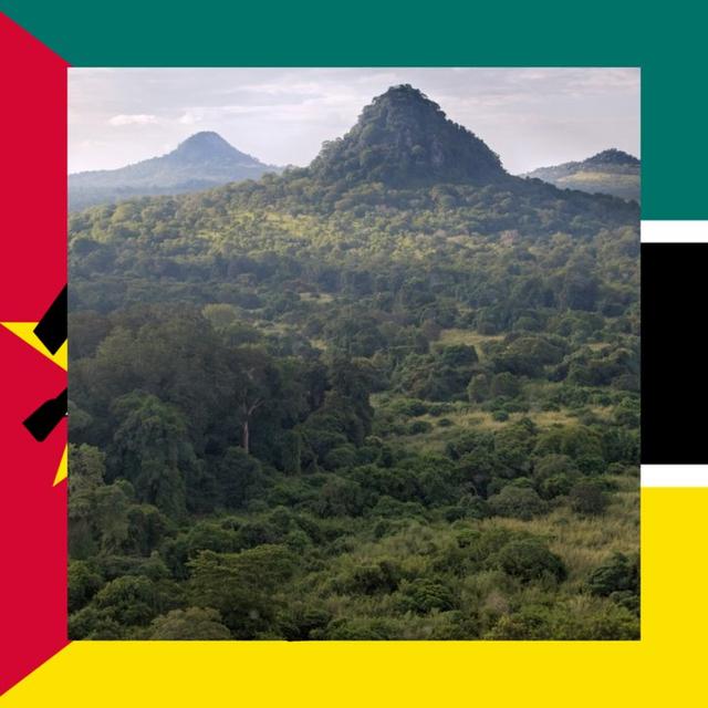 Mozambique: all about hunting and fishing, news, forum. avatar