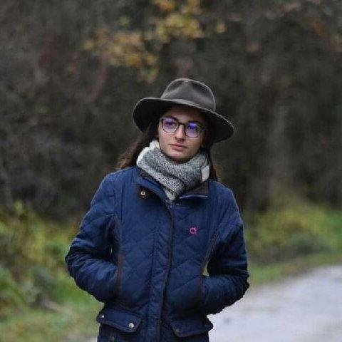 alienorsim avatar