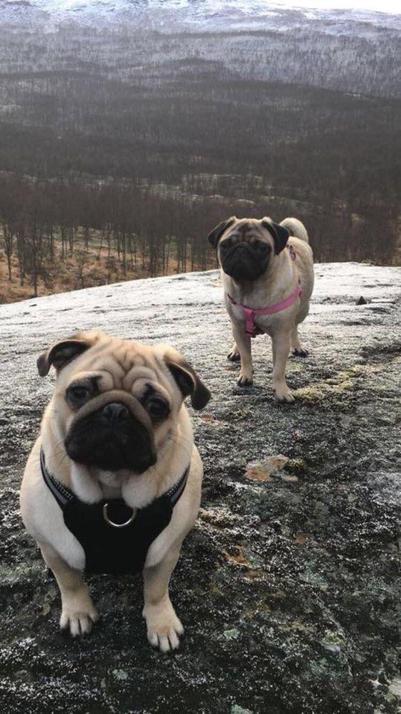 Photo from news post