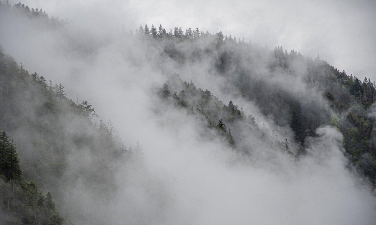 Jagd im Bezirk Kulm (Kanton Aargau), Schweiz: Eigenschaften, Bevölkerung, Jagdtechniken, Wildtiere, Jagdperioden, Organisationen, Gesetze und Traditionen