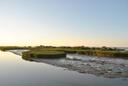 Caccia agli Uccelli Acquatici: Segreti e Tradizioni del Delta del Po

Caratteristiche geografiche e naturali della regione dal punto di vista venatorio

Il Delta del Po, situato tra Emilia-Romagna e Veneto, è una delle più importanti zone umide d’Europa. Con una superficie di oltre 120.000 ettari, il delta offre un habitat unico per la fauna selvatica, grazie ai suoi canali, lagune, paludi e valli da pesca. Questa diversità ambientale rende il Delta del Po un paradiso per la caccia agli uccelli acquatici, come anatre, folaghe e germani reali. Le aree boschive e le zone agricole circostanti ospitano anche specie come cinghiali, lepri e fagiani.

Demografia dei Cacciatori: Un Focus su Numero, Età, Sesso

Secondo i dati dell’Associazione Nazionale Cacciatori (Federcaccia), nel Delta del Po sono registrati circa 8.000 cacciatori. La maggior parte dei cacciatori sono uomini di età compresa tra i 40 e i 70 anni, con una forte presenza nelle comunità locali. La caccia è un’attività tradizionale, particolarmente radicata nella cultura rurale della zona.

Caratteristiche della caccia

La caccia nel Delta del Po è fortemente influenzata dalla presenza di zone umide e dalla ricchezza di uccelli migratori. La caccia agli uccelli acquatici è l’attività principale, spesso praticata con l’ausilio di capanni fissi o barchini. La caccia al cinghiale e alla piccola selvaggina, come lepri e fagiani, è comune nelle aree boschive e agricole circostanti. L’uso di cani da seguita, come il Lagotto Romagnolo, è diffuso per la caccia alla lepre.

Tipi di caccia nella regione. Specie cacciabili

Nel Delta del Po si praticano principalmente:
Caccia agli uccelli acquatici: anatre, folaghe, germani reali e alzavole.
Caccia al cinghiale: organizzata in battute collettive nelle zone boschive.
Caccia alla lepre e al fagiano: popolare nelle aree agricole e collinari.
Le specie principali sono: cinghiale, lepre, fagiano, anatra, folaga, germano reale e alzavola.

Stagioni venatorie nella regione

Le stagioni di caccia nel Delta del Po sono regolate da leggi regionali e variano in base alla specie. Ad esempio:
Caccia agli uccelli acquatici: dalla terza domenica di settembre a fine gennaio.
Caccia al cinghiale: da ottobre a gennaio.
Caccia alla lepre e al fagiano: dalla terza domenica di settembre a fine dicembre.
Le date esatte possono cambiare ogni anno, quindi è fondamentale consultare il calendario venatorio regionale.

Associazioni e club di cacciatori nella regione

Nel Delta del Po operano numerose associazioni venatorie, tra cui Federcaccia Emilia-Romagna, Federcaccia Veneto, Arcicaccia e Libera Caccia. Queste organizzazioni promuovono la tutela dell’ambiente, la formazione dei cacciatori e la conservazione delle tradizioni venatorie. Organizzano anche eventi e gare di tiro per i soci.

Normative sulla caccia nella regione

La caccia nel Delta del Po è regolamentata da leggi nazionali e regionali. Le principali norme includono:
Divieto di caccia nelle aree protette (es. parchi naturali e riserve).
Obbligo di munizioni non tossiche nelle zone umide.
Quote annuali: 1.500 cinghiali e 10.000 uccelli acquatici.
Divieto di caccia notturna e uso di richiami elettronici.

Tradizioni Venatorie Regionali: Riti, Usi e Cultura Locale della Caccia

La caccia nel Delta del Po ha radici antiche ed è profondamente legata alla cultura locale. Le battute di caccia agli uccelli acquatici sono un’occasione di socializzazione e condivisione. Al termine delle battute, è tradizione organizzare pranzi con piatti tipici come il risotto alle anatre e il cinghiale in umido, accompagnati da vini locali come il Lambrusco e il Merlot.

Fatti Sorprendenti e Curiosità: Cosa Rende Unica la Caccia in Questa Regione

Il Delta del Po è una delle zone umide più importanti d’Europa per la migrazione degli uccelli acquatici.
La caccia agli uccelli acquatici è spesso praticata con tecniche tradizionali, come l’uso di capanni fissi e barchini.
Nelle valli da pesca del Delta, i cacciatori collaborano con i pescatori per la gestione sostenibile delle risorse naturali.
La caccia nel Delta del Po rappresenta un’attività che unisce tradizione e rispetto per l’ambiente. Grazie all’impegno delle associazioni venatorie e dei cacciatori, questa pratica continua a essere valorizzata nel rispetto delle normative e della biodiversità.
#CacciaDeltaPo #AcquaticiInVolo #LaguneSelvagge #TradizioneVenatoria #AnatreMigratorie #BattuteDiCaccia #UccelliDelDelta #RisottoDiSelvaggina #FangoECapanni #CacciatoriDiPalude #LameDacqua #BarchiniVenatori #SilenziDellaPalude #LambruscoECinghiale #Italia #EquilibrioNatura