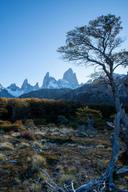 Caza en estancias de La Pampa: exploración de geografía, temporadas de caza, demografía de la región y cazadores, características de caza y datos interesantes

Factores geográficos en La Pampa
La Pampa es una región predominantemente llana cubierta de estepas (Pampas), bosques y pequeñas colinas. El clima aquí es templado, con veranos cálidos e inviernos frescos, lo que crea las condiciones ideales para el hábitat de una fauna diversa. La región es rica en recursos hídricos, incluidos ríos y lagos que atraen a muchas especies de aves y animales.  

Para los cazadores, La Pampa es interesante por su biodiversidad. Aquí puedes encontrar animales típicos de América del sur y especies importadas de otras partes del mundo. Esto hace que la región sea un lugar único para cazar caza exótica en su hábitat natural.  

Cazadores y demografía de la región  
No hay datos precisos sobre el número de cazadores en La Pampa, pero se sabe que la caza es una actividad popular entre los lugareños y los turistas. Los cazadores locales a menudo se unen en clubes y asociaciones para compartir experiencias y organizar salidas conjuntas.  

Entre los cazadores extranjeros, la región es especialmente popular entre los europeos y los norteamericanos, que vienen aquí por la oportunidad única de cazar especies raras de animales como el antílope negro, el jabalí o el búfalo de agua.  

Detalles y características importantes de la caza en La Pampa  
La caza en La Pampa se distingue por su accesibilidad y diversidad. Aquí se puede elegir tanto la caza individual como la participación en excursiones grupales con guías experimentados. Los cotos de caza locales están bien organizados y la infraestructura le permite pasar un tiempo cómodo incluso lejos de la civilización.  

Una de las características clave de la caza en esta región es la posibilidad de combinar la caza con la recreación al aire libre. Muchos ranchos de caza ofrecen servicios adicionales, como pesca, paseos a caballo o observación de vida silvestre.  

Tipos de caza y animales de caza  en La Pampa
1. Caza mayor:  
   - Antílope negro  
   - Búfalo de agua  
   - Jabalí  
   - Puma (en cantidades limitadas y con permisos especiales)  
2. Caza de aves:  
   - Patos  
   - Gansos  
   - Codornices  
3. Caza menor:  
   - Liebre  
   - Zorro  

La región también es conocida por sus ranchos de caza, donde se crían animales exóticos como antílopes africanos o búfalos asiáticos. Esto hace que la Pampa sea atractiva para los cazadores que desean reponer sus trofeos con ejemplares raros.  

Temporadas de caza  en La Pampa
- La caza de aves generalmente está permitida de abril a agosto.  
- La caza de caza mayor es posible durante todo el año, pero el mejor momento se considera el período de marzo a noviembre, cuando el clima es más cómodo.  

Asociaciones y clubes de cazadores  
- Asociación de Cazadores de La Pampa
- Federación Argentina de Caza

Legislación de caza  en La Pampa
La caza en La Pampa se rige por estrictas leyes destinadas a preservar la biodiversidad. Para participar en la caza, es necesario obtener una licencia, que se emite después de completar un breve curso de seguridad y ecología.  

Los cazadores extranjeros deben proporcionar:  
- Permiso de caza vigente en su país.  
- Documentos que acrediten la experiencia de caza.  
- Pagar las tarifas de licencia y trofeos.  

Es importante recordar que la caza de ciertos tipos de animales (por ejemplo, pumas) requiere un permiso especial y puede estar limitada por la cantidad de presas.  

Tradiciones de la región de La Pampa desde el punto de vista de la caza 
La caza en La Pampa no es solo una actividad deportiva, sino también parte de la cultura local. Muchos ranchos conservan la tradición de los gauchos (vaqueros argentinos), que desde hace mucho tiempo se dedicaban a la caza y la ganadería.  

Una tradición interesante es la preparación conjunta de presas después de la caza. Los lugareños a menudo organizan un asado (Barbacoa Argentina), donde la carne de caza se cocina a fuego abierto.  

Datos interesantes sobre la caza en la región  La Pampa

1. La Pampa es uno de los pocos lugares en el mundo donde se puede cazar búfalo de agua en su entorno natural.  
2. Algunos ranchos de caza de la región se dedican a la cría de especies raras de animales, lo que contribuye a su conservación.  
3. La Pampa alberga torneos internacionales de caza que atraen a participantes de todo el mundo.  
4. Los guías locales a menudo usan métodos tradicionales de caza transmitidos de generación en generación.
