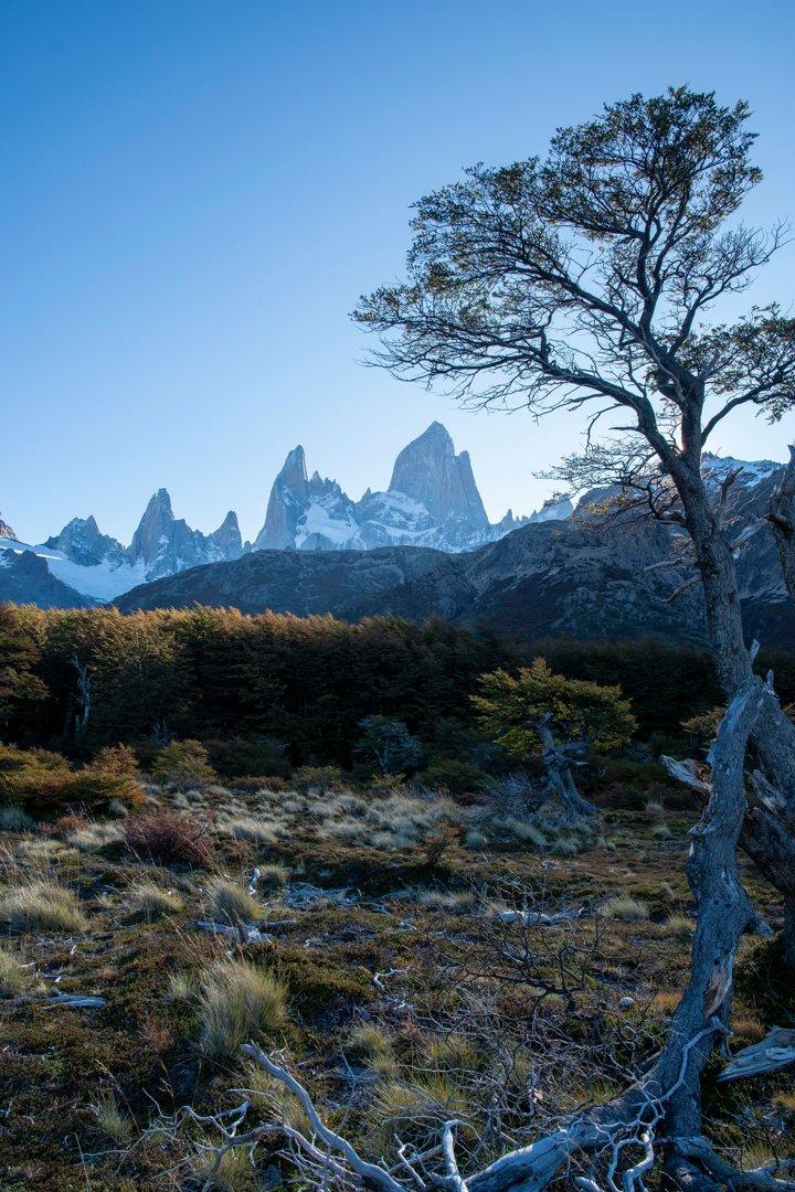 Caza en estancias de La Pampa: exploración de geografía, temporadas de caza, demografía de la región y cazadores, características de caza y datos interesantes