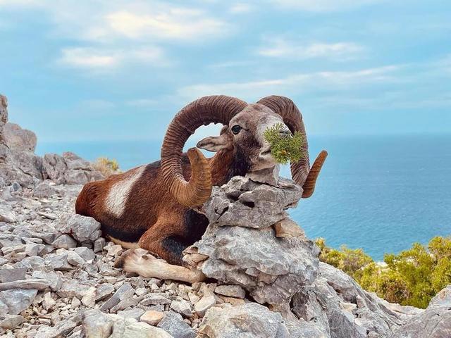 Photo from news post