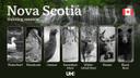 Hunting Seasons in NOVA SCOTIA: Key Dates, Required Licenses and Essential Rules 

Nova Scotia offers diverse hunting opportunities across its forests, wetlands, and coas