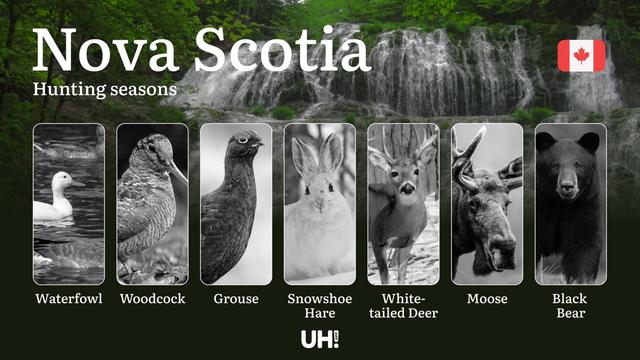 Hunting Seasons in NOVA SCOTIA: Key Dates, Required Licenses and Essential Rules