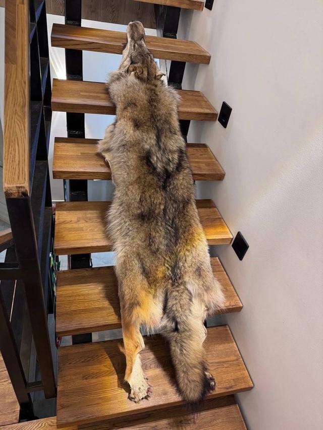 Photo from news post